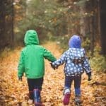 a walking trail in our forest thats perfect for children of all ages