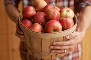 still open in November with good food and family fun bushel of apples