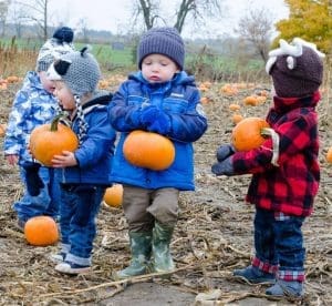 pumpkin harvest