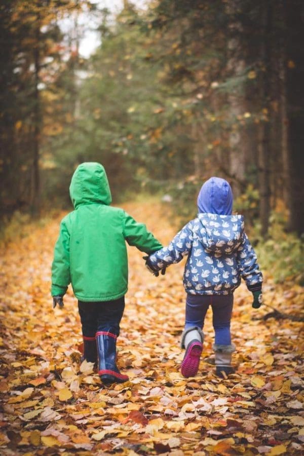 walk our forest