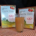 Sweet Apple Cider