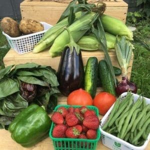 CSA Summer fresh fruits and vegetables
