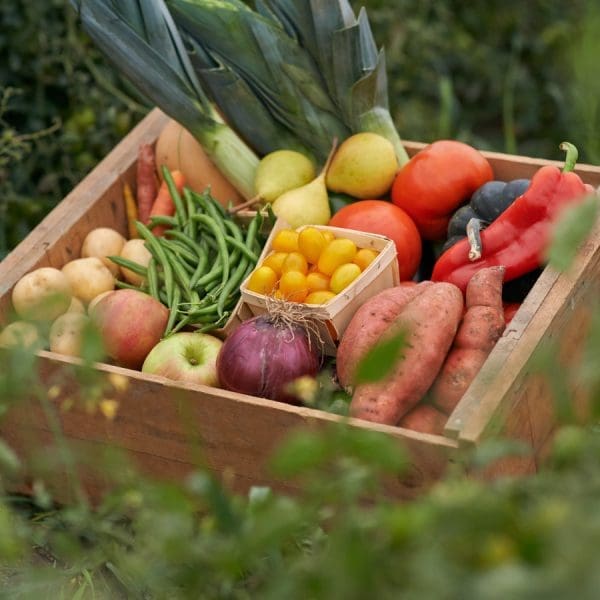 Farm Box - Love Locally Grown