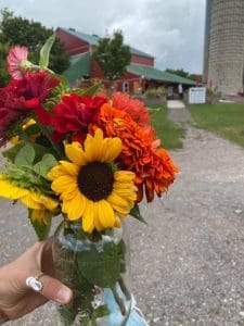 Cut your own flower Bouquet Buy one Give one - Friendship