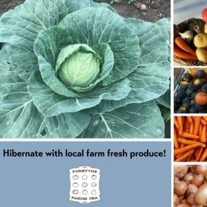a nice selection of storage vegetables to help get you through the winter