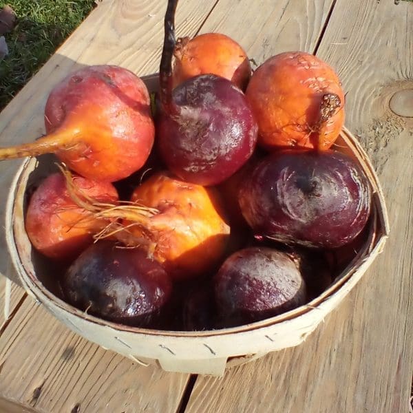 beets in a basket