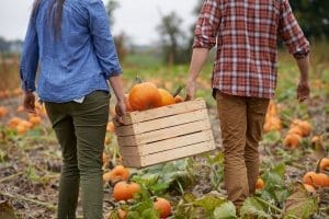 Forsythe Family Farms - Pumpkin Time