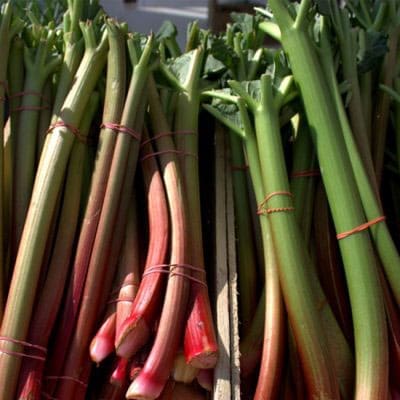 rhubarb Rhubarb