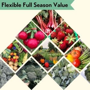 full season bundle with monthly summer flexibility