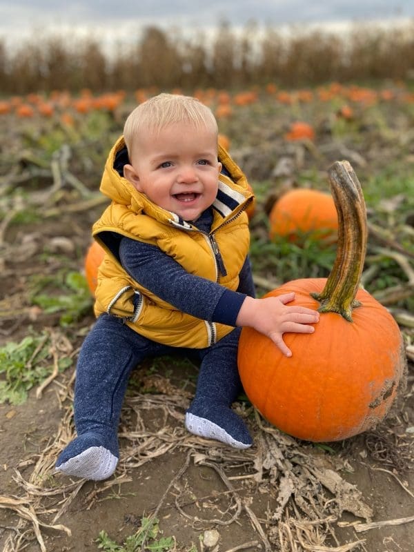 pumpkin patch picking at Forsythe Family Farms