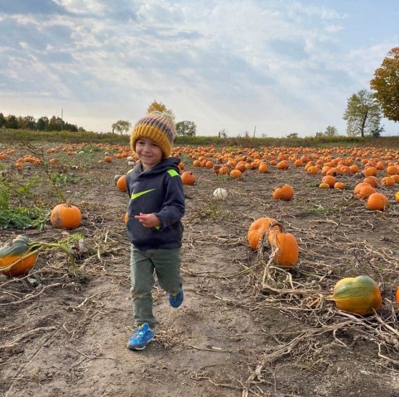 pumpkins and gourds and lots of fall fun