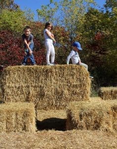 Farms are Fun Kids on the straw maze