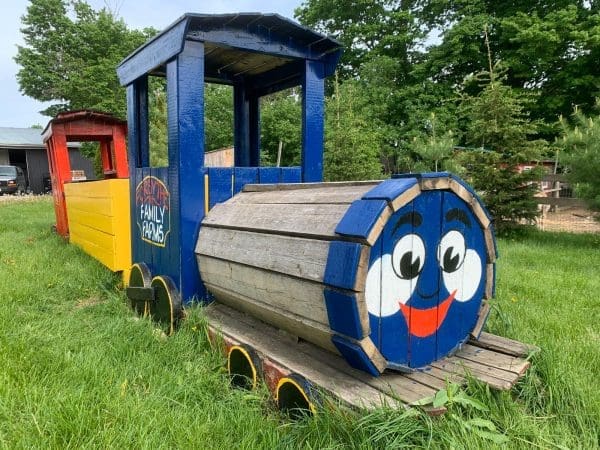 climb on board our play train at the farm