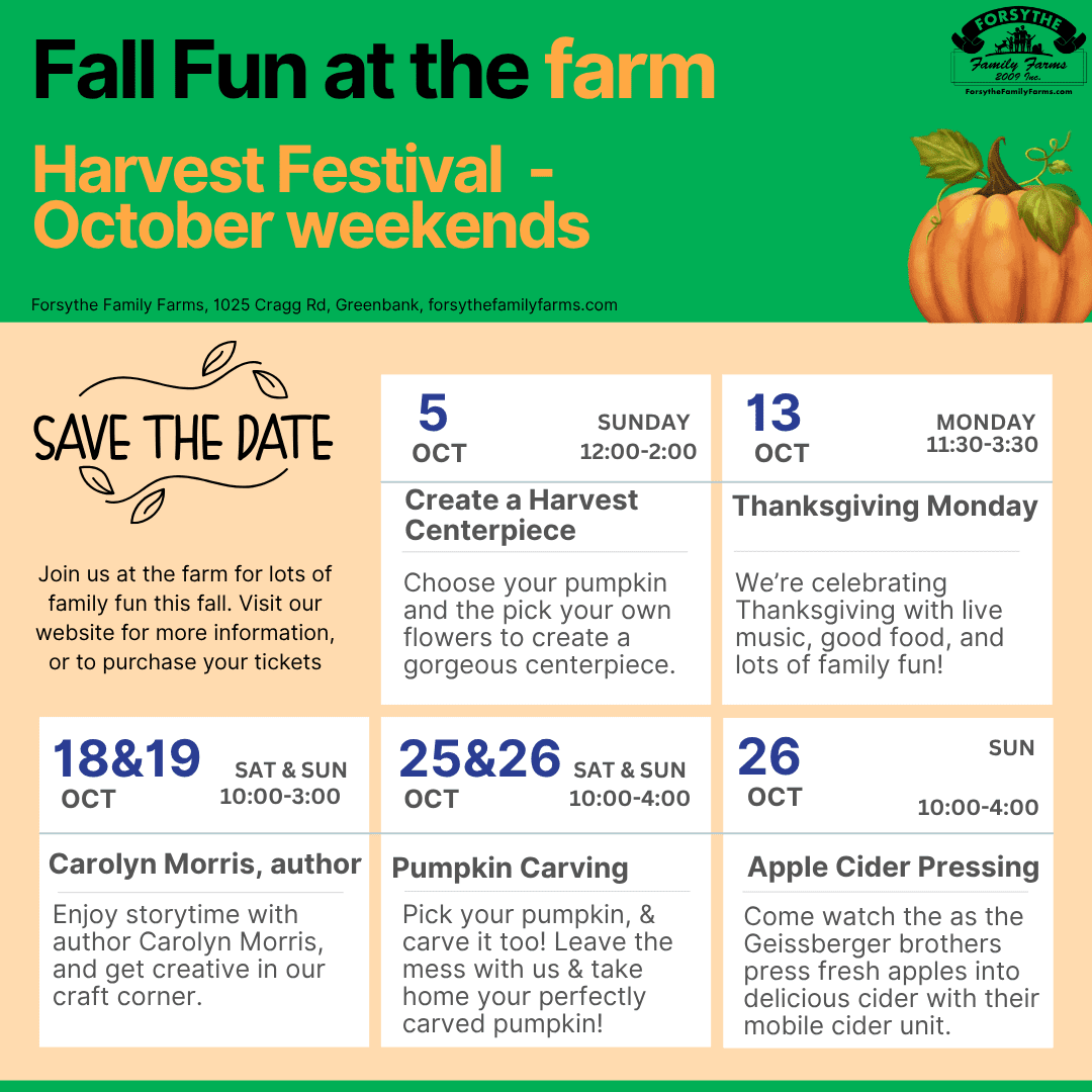 Pumpkin festival activities