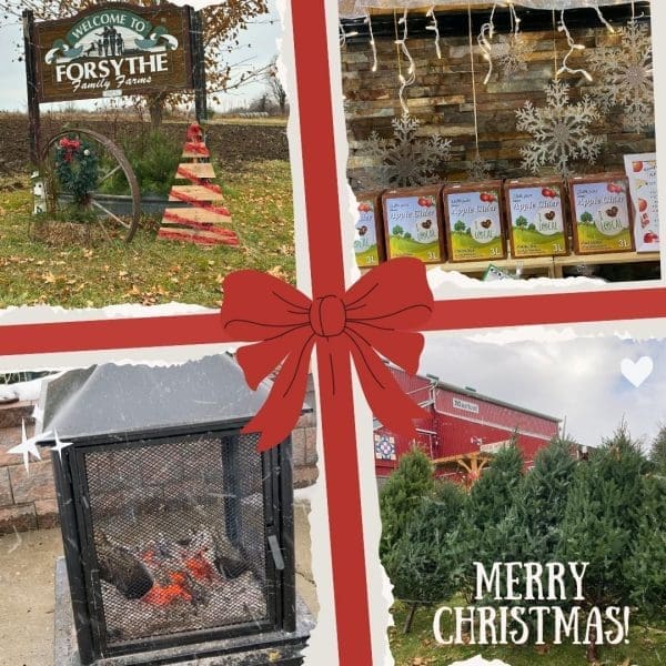 Get outside and get ready for Christmas. Balsam Christmas trees, apple cider, fun family outing