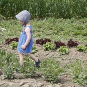 Bring your toddlers 2-4 years old to our Little Farmers Toddler Program. Enjoy an outdoor time to explore, experience and engage in fun activities geared to their age and abilities