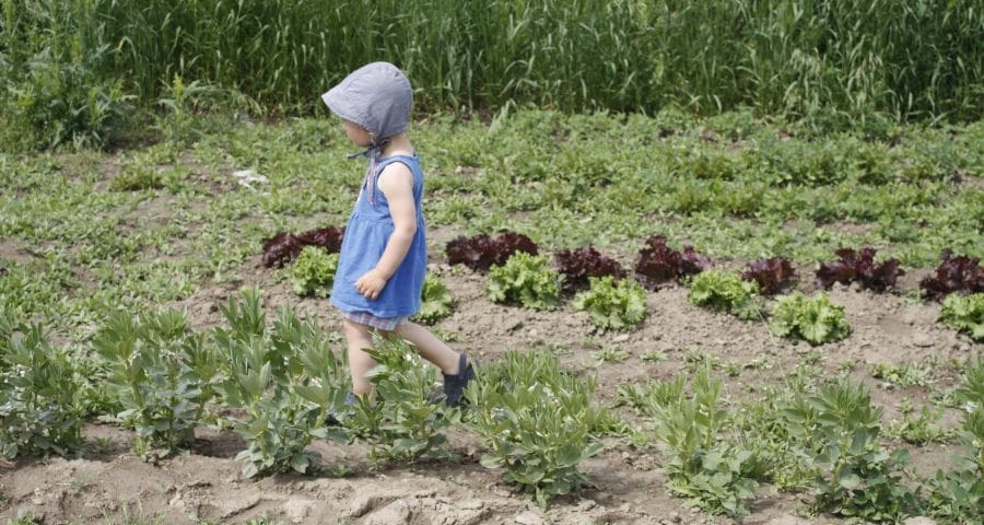 Join our Forsythe Family Farms Little Farmer Toddlers Program Enjoy an outdoor time to explore, experience and engage in fun activities geared to their age and abilities