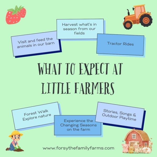 Enjoy farm animals, wagon rides, harvesting in our fields, songs, stories and playtime. Explore nature in our forest. Guided activities for your little one