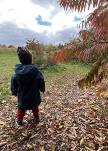 engage with nature, explore our farm with your toddler - the forest trail is just the right length for little feet