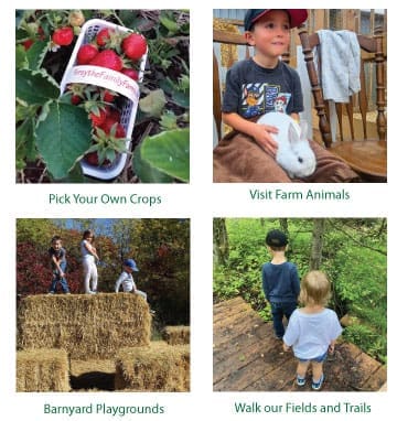 Activities at Forsythe Family Farms