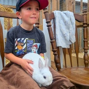 Visit with Forsythe Family Farm animals Visit with Forsythe Family Farm animals