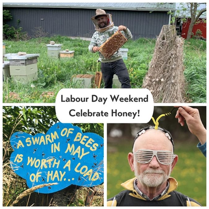 celebrate honey celebrate honey