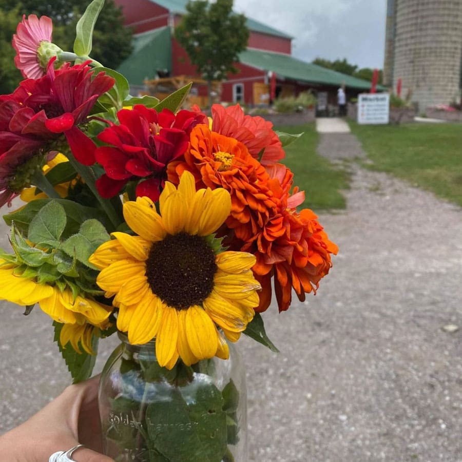 Cut your own bouquet at Forsythe Family Farms Cut your own bouquet at Forsythe Family Farms